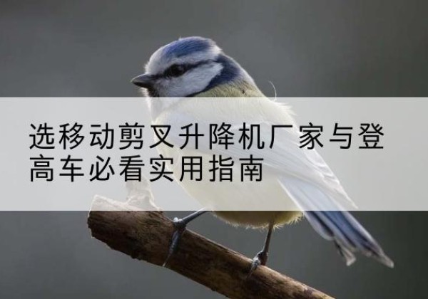 墨脱电动升降机厂家-选移动剪叉升降机厂家与登高车必看实用指南