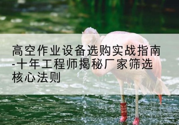 墨脱剪叉式升降机厂家-高空作业设备选购实战指南-十年工程师揭秘厂家筛选核心法则
